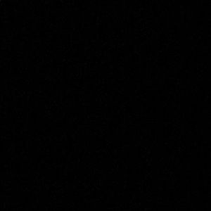 Meet your Posher, Carly